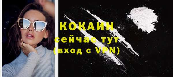крисы Надым