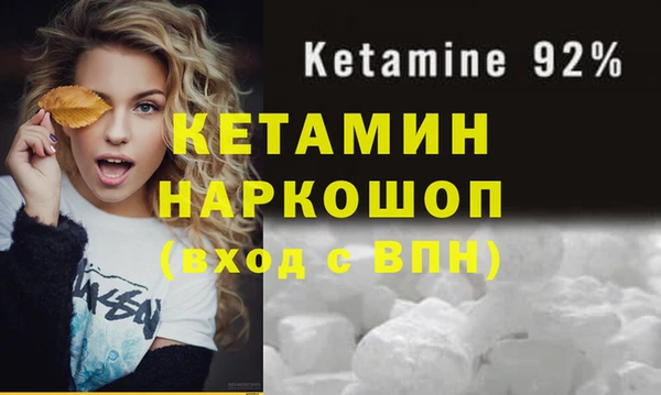 крисы Надым