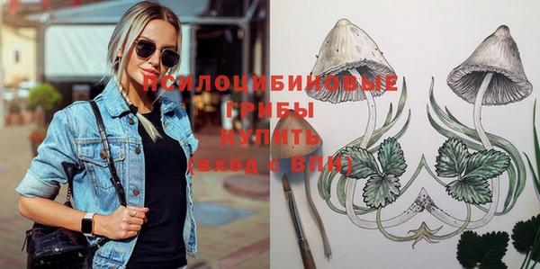 молекула духа Наволоки