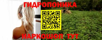 spice Донской