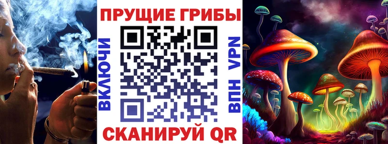 Галлюциногенные грибы GOLDEN TEACHER  хочу   Кизляр 