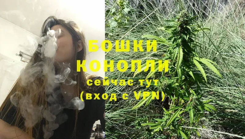 хочу наркоту  Кизляр  ссылка на мегу зеркало  Марихуана White Widow 