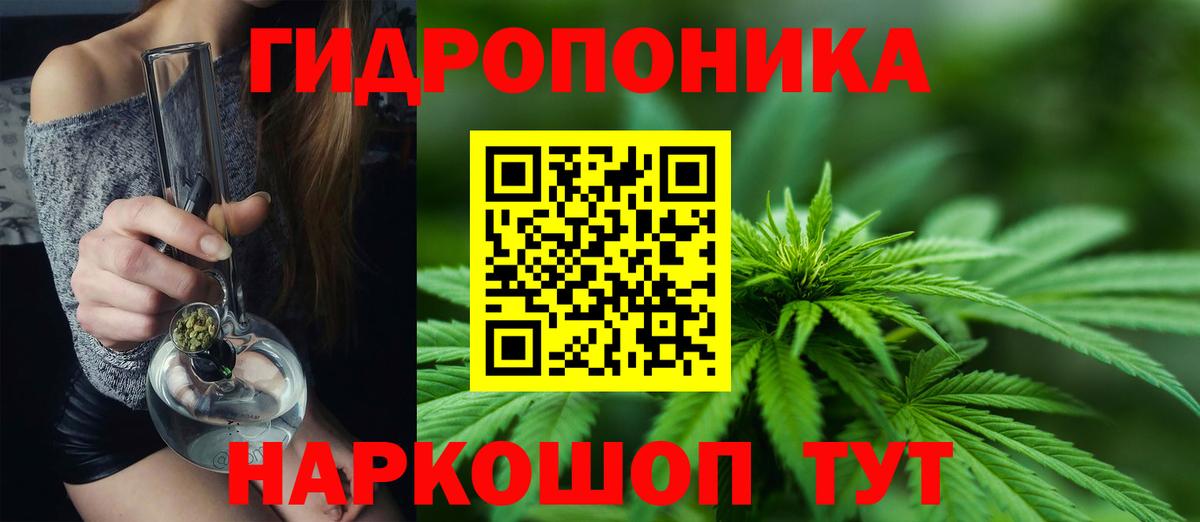 Бошки марихуана MAZAR Кизляр